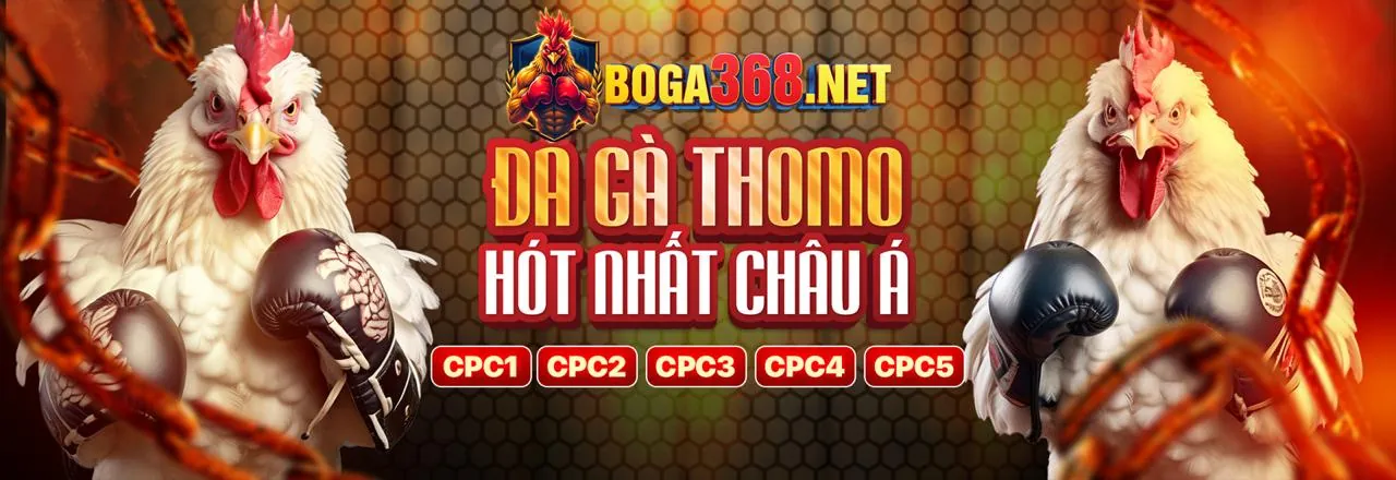 Minh họa câu hỏi thường gặp